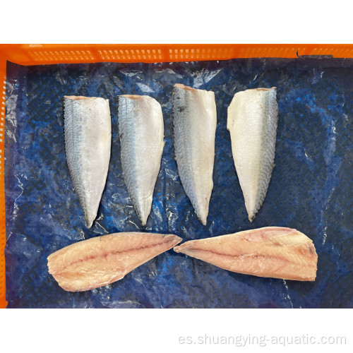 Filetes de caballa de pescado congelado de mariscos chinos para el mercado